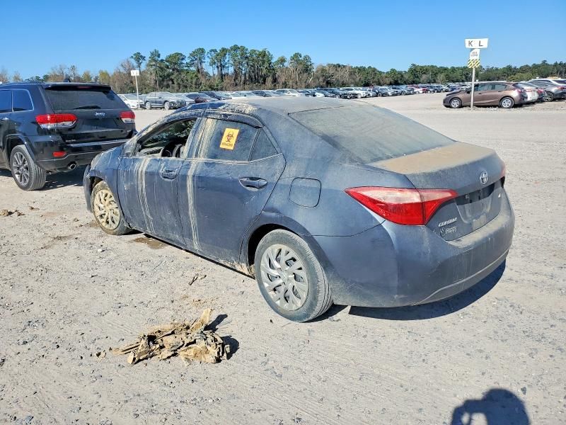 2019 Toyota Corolla l