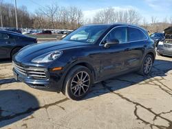 Porsche Cayenne salvage cars for sale: 2019 Porsche Cayenne