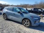 2024 Ford Escape st Line