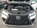 2024 Lexus Lx 600 Base