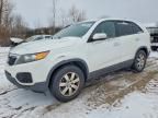 2012 KIA Sorento Base