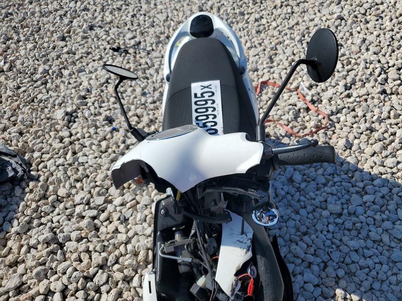 2023 Genuine Scooter Co. Buddy 50