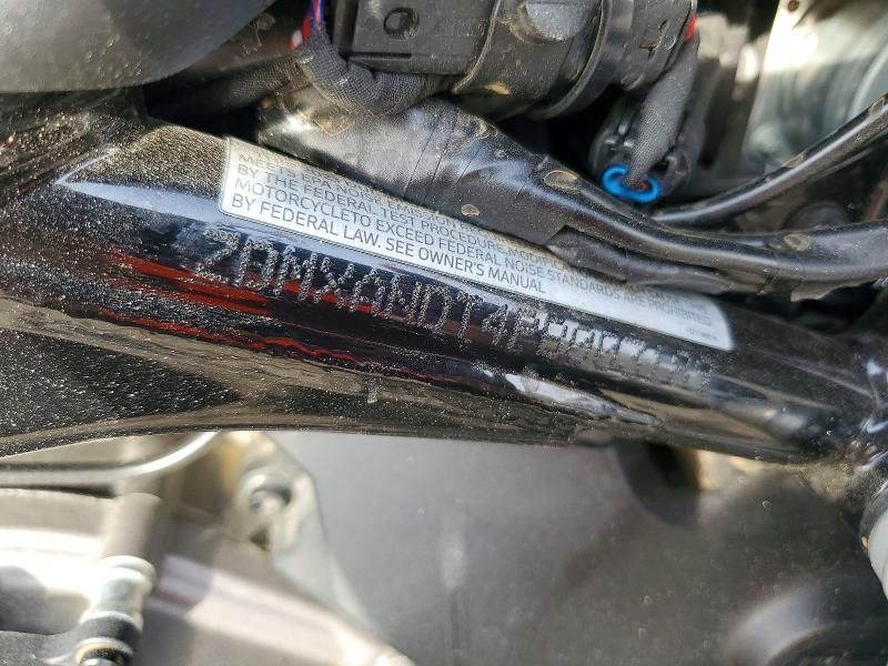 2023 Ducati Desert x