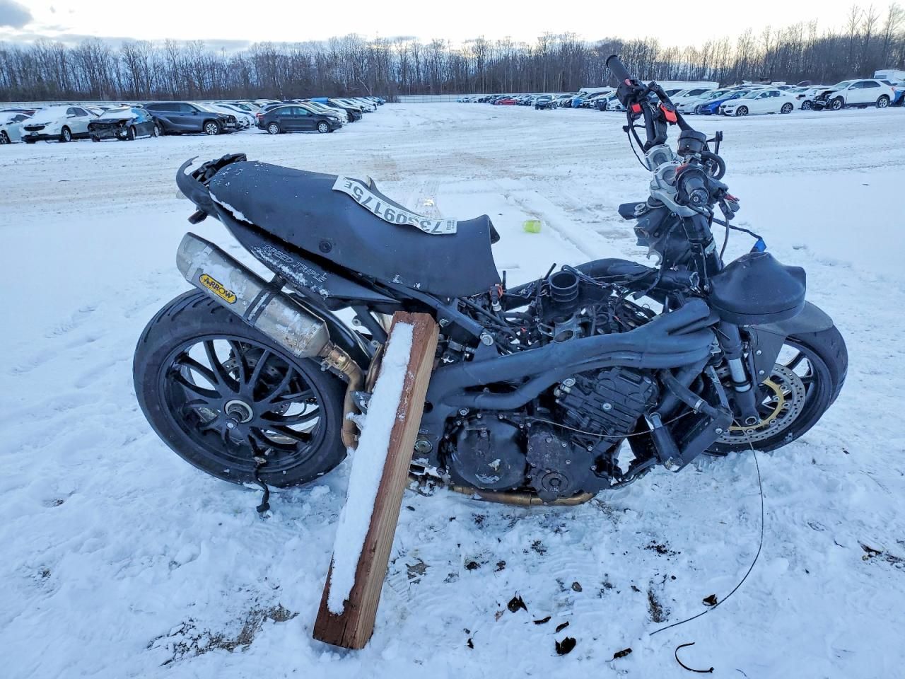 2008 Triumph Speed Triple