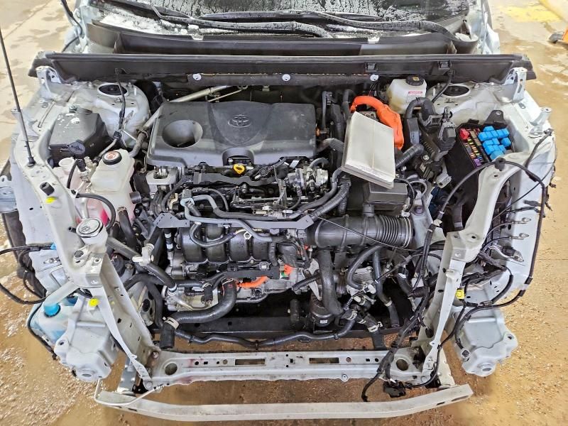 2023 Toyota Rav4 xse