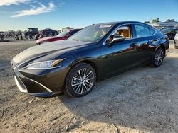 Lexus Es 300 salvage cars for sale: 2025 Lexus Es 300