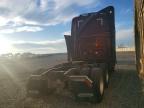 2026 Freigliner 2026 Freightliner Cascadia 126