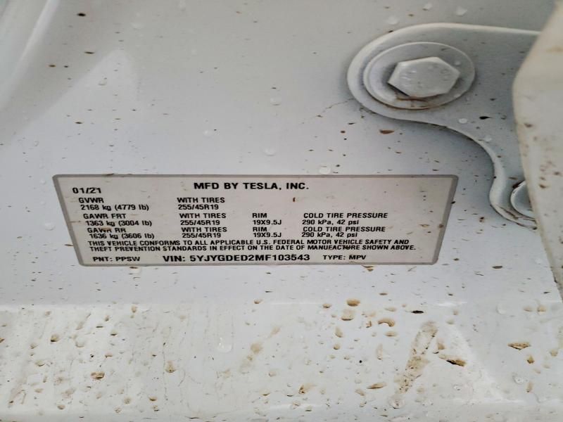 2021 Tesla Model y