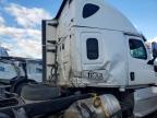 2020 Freigliner 2020 Freightliner Cascadia 126 Semi Truck