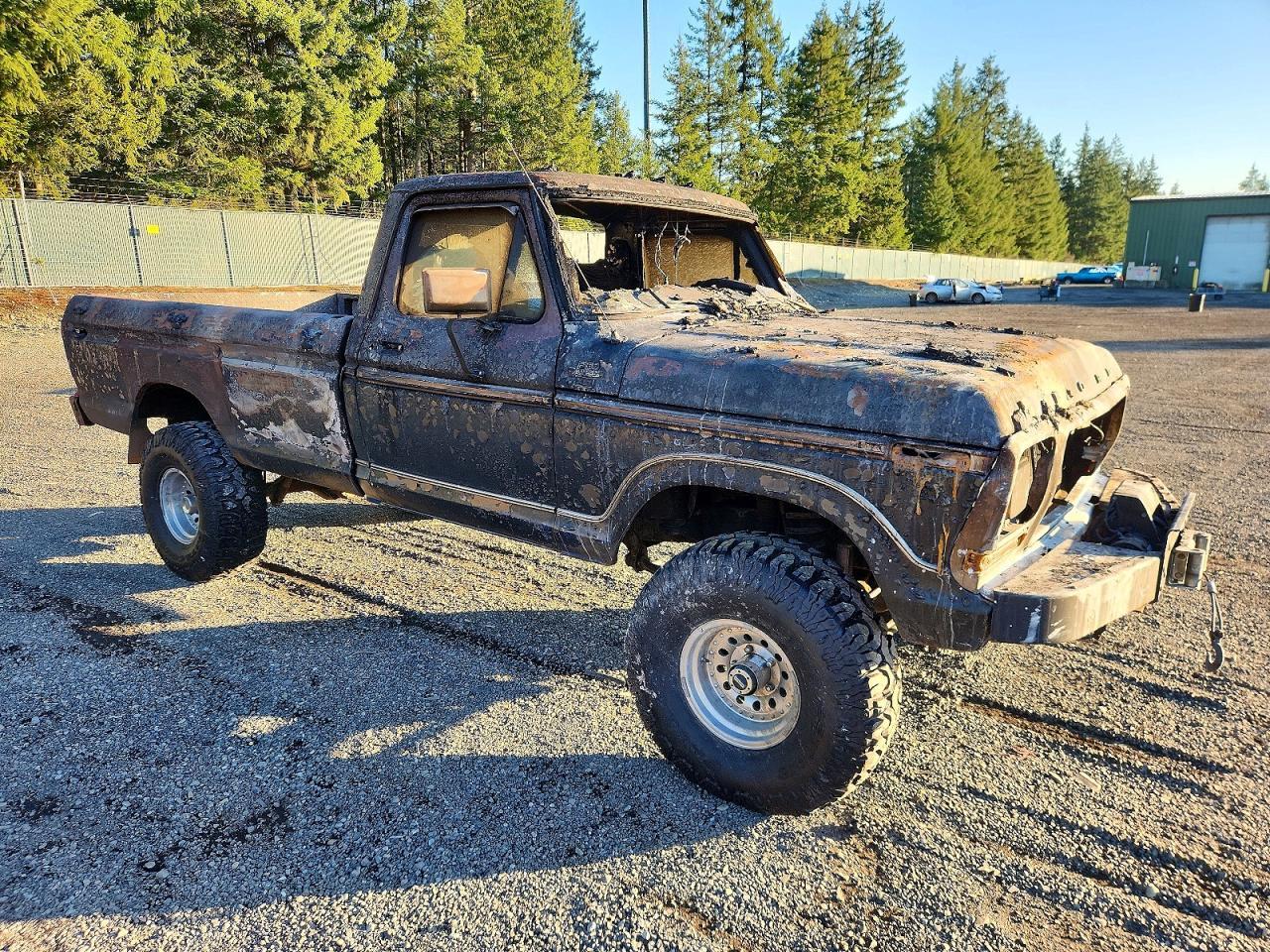 1979 Ford F100 Serie