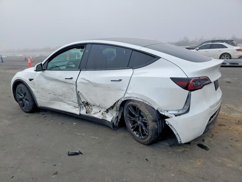 2025 Tesla Model y