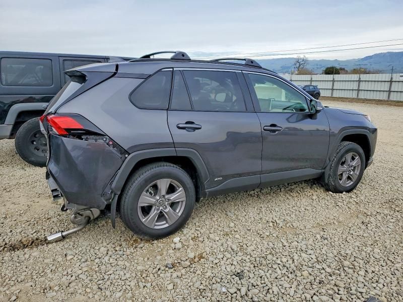 2025 Toyota Rav4 xle