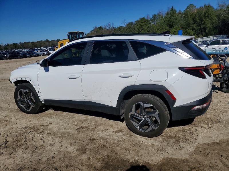 2023 Hyundai Tucson sel