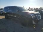 2019 Cadillac Escalade esv Platinum