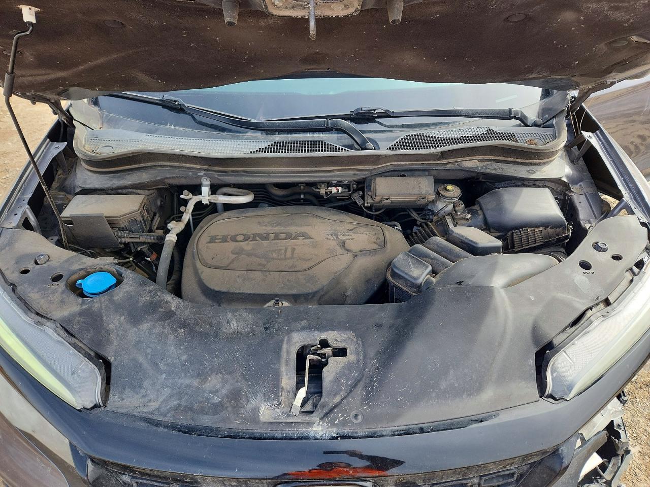 2019 Honda Passport Sport