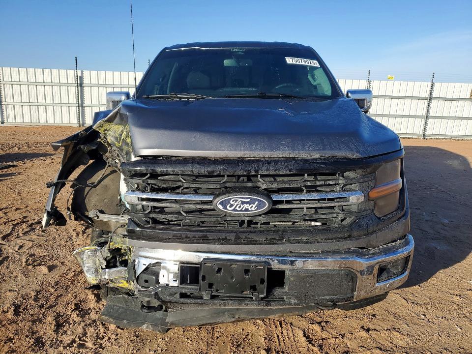 2024 Ford F150 xlt