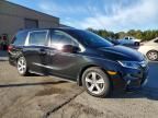 2019 Honda Odyssey exl