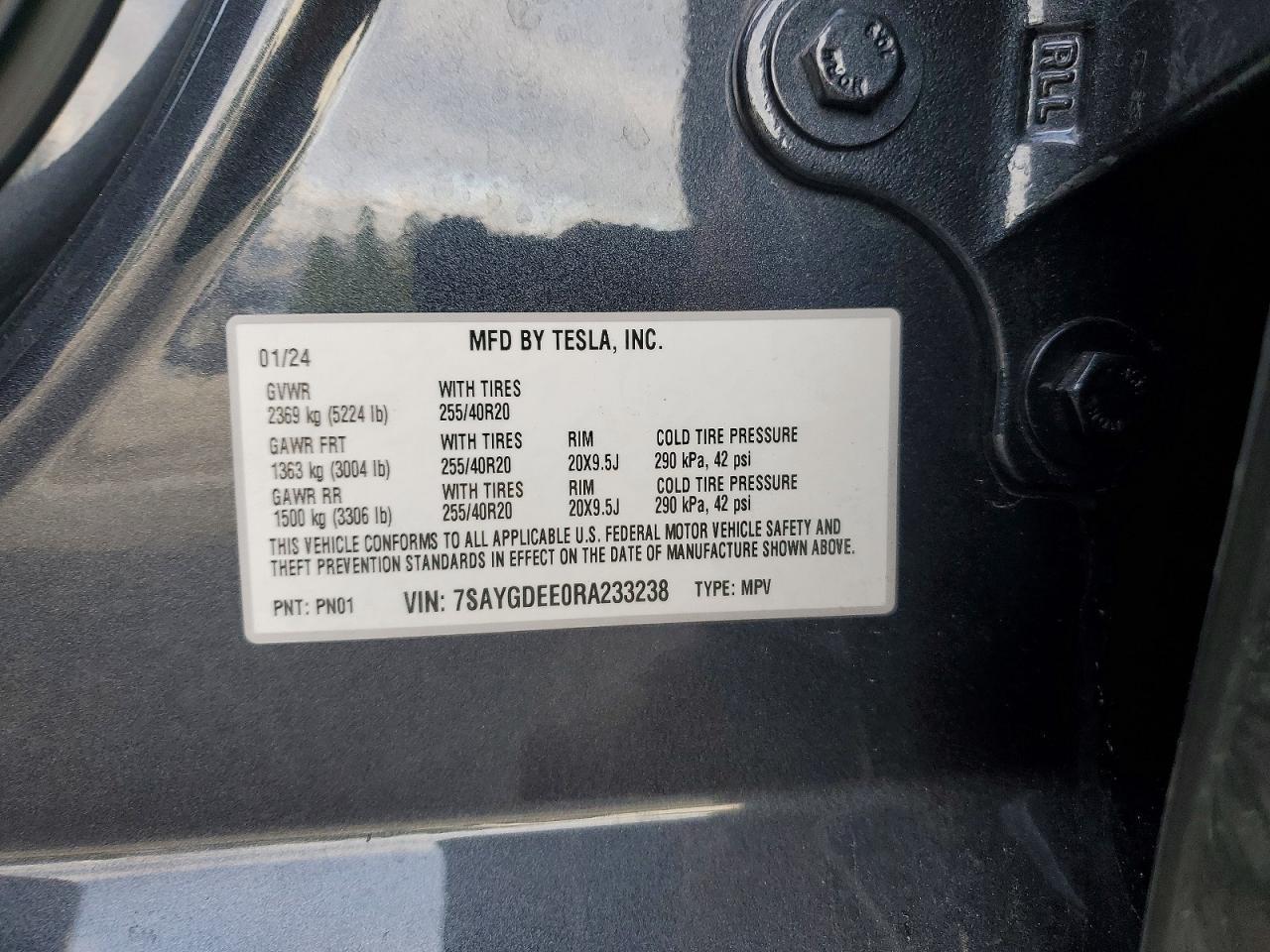 2024 Tesla Model y