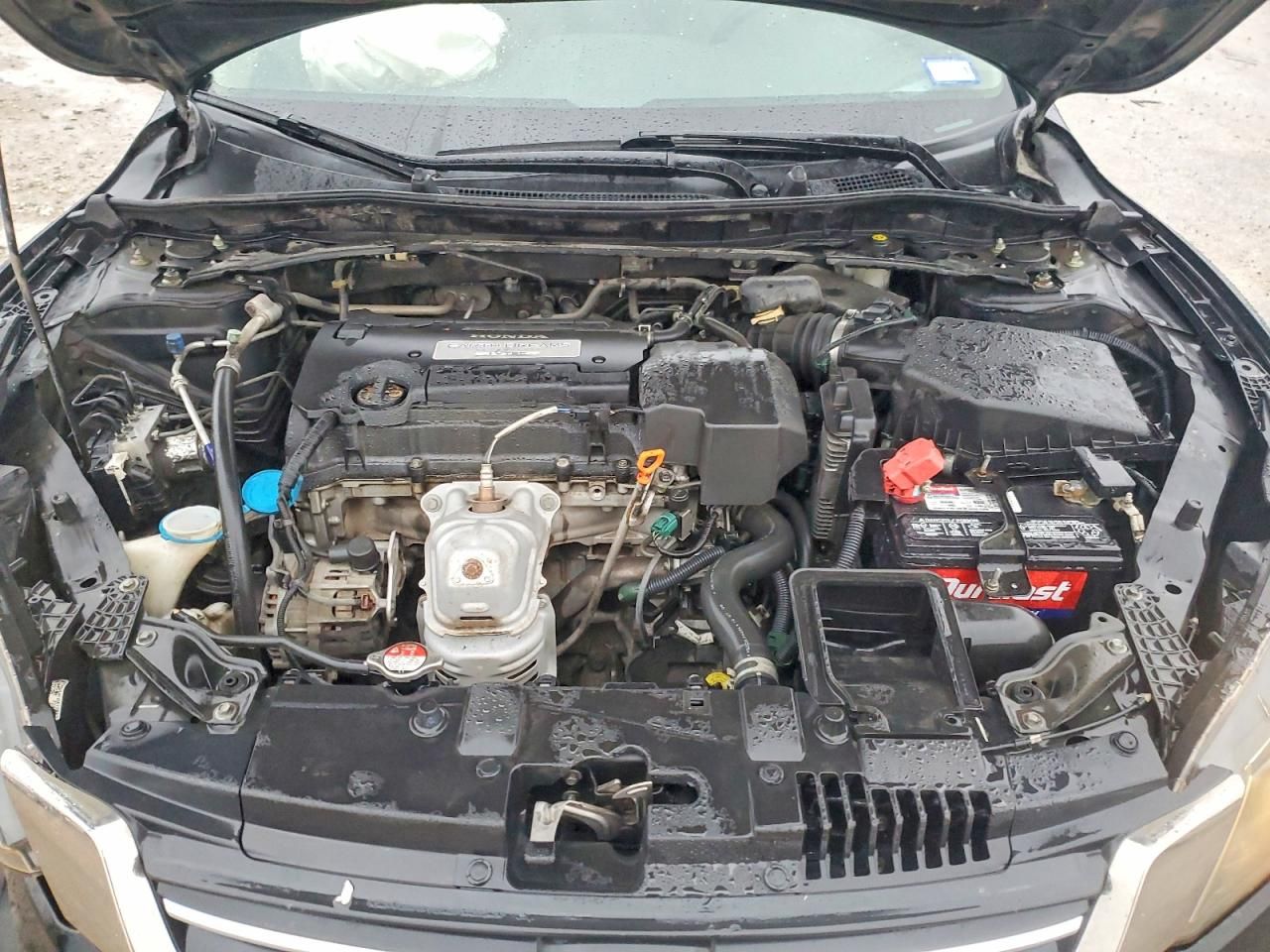 2013 Honda Accord exl