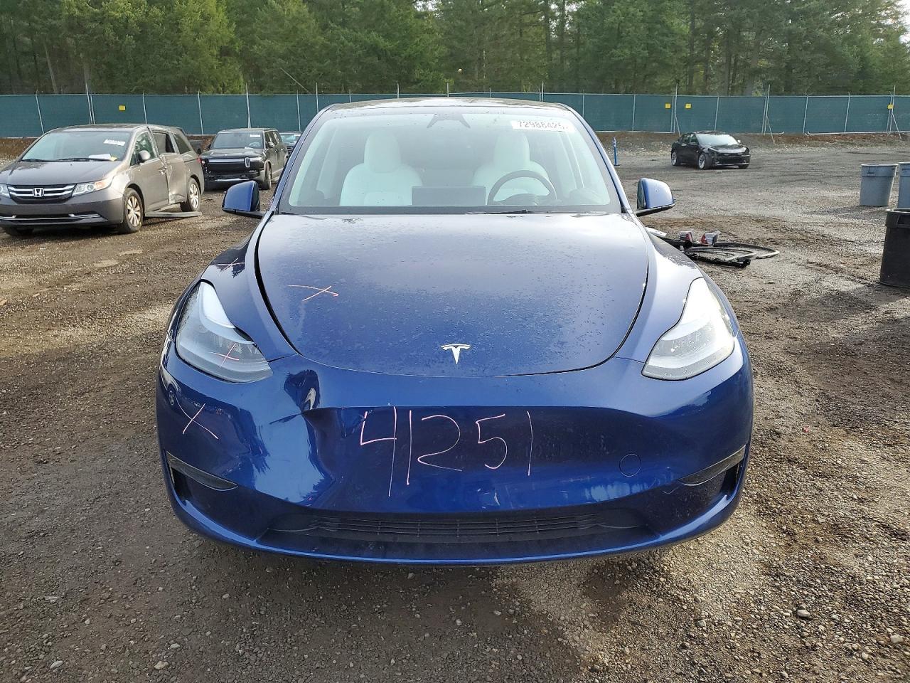 2025 Tesla Model y