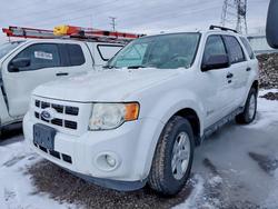 Salvage cars for sale from Copart Elgin, IL: 2011 Ford Escape Hybrid
