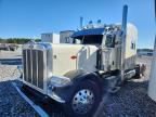 2019 Peterbilt 389 Semi Truck