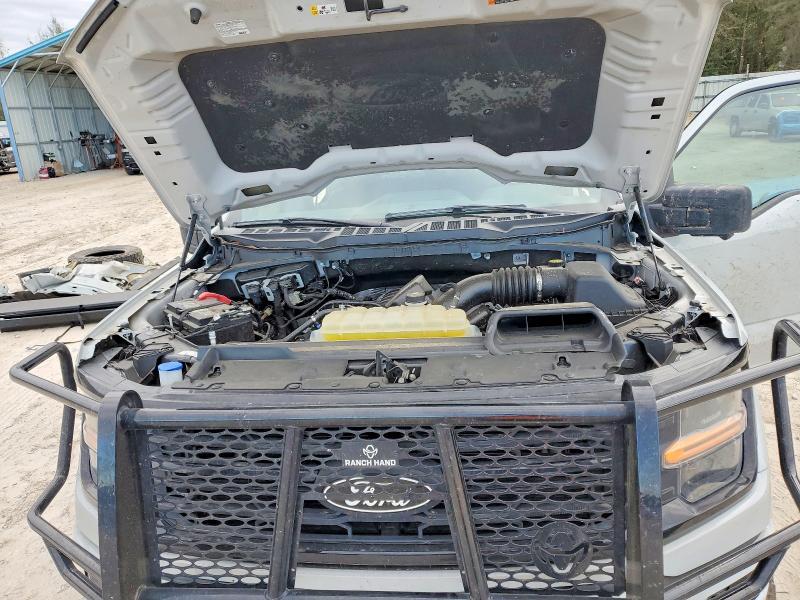 2024 Ford F150 xlt
