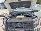 2024 Ford F150 XLT