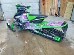 2015 Arctic Cat IC Cat