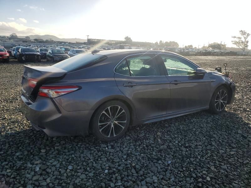 2019 Toyota Camry Hybrid