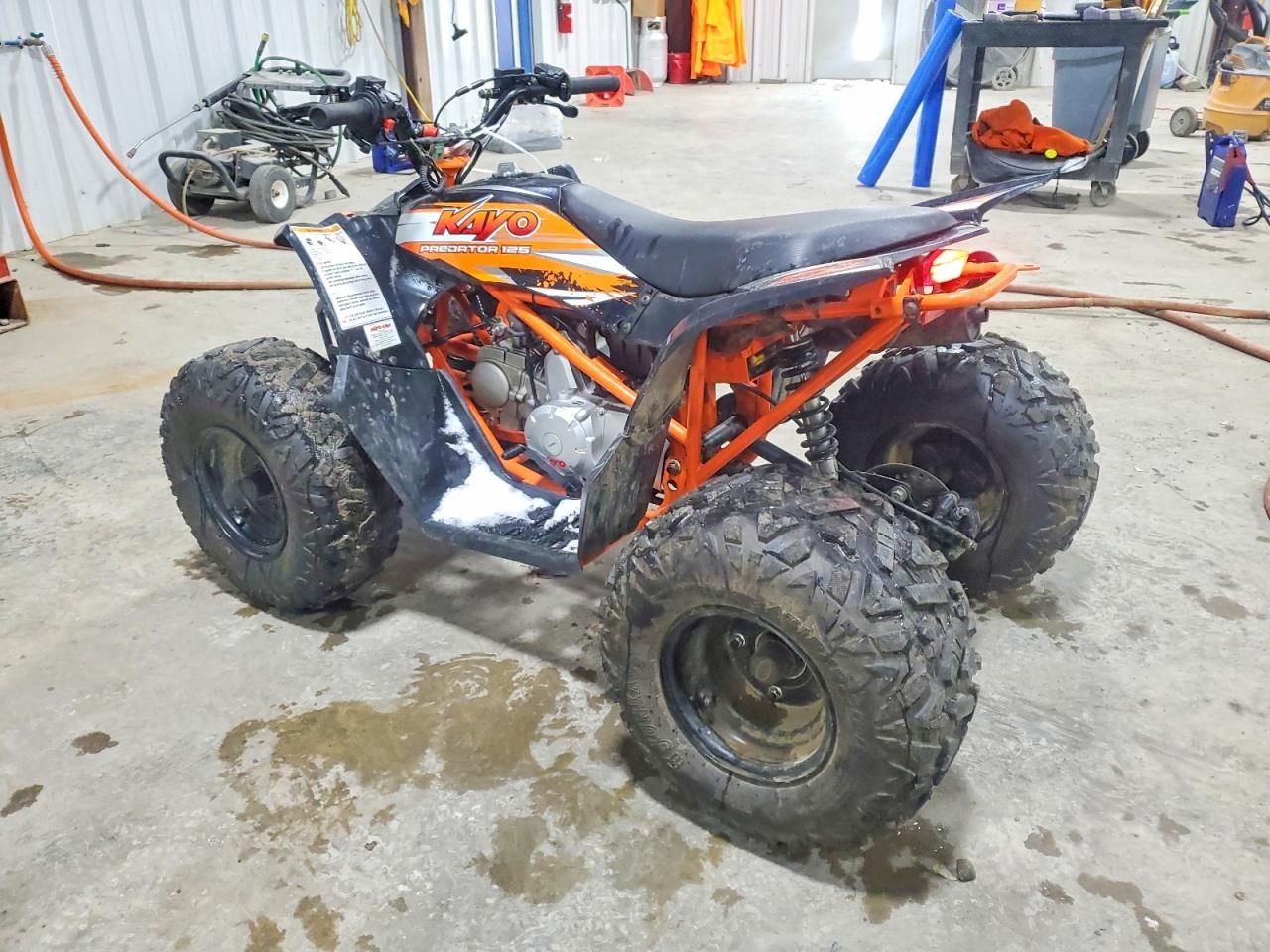2021 Kayo Predator 125 atv
