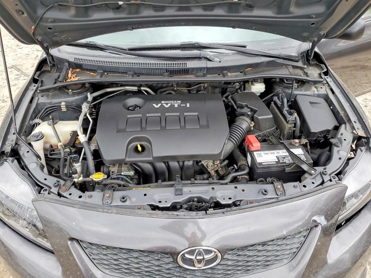 2010 Toyota Corolla Base