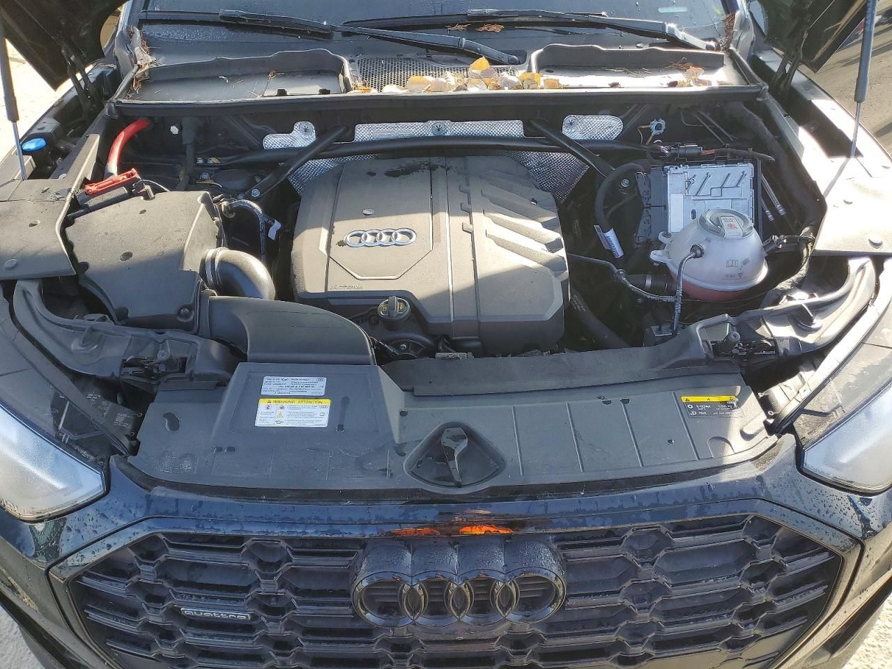 2023 Audi Q5 Premium Plus 45