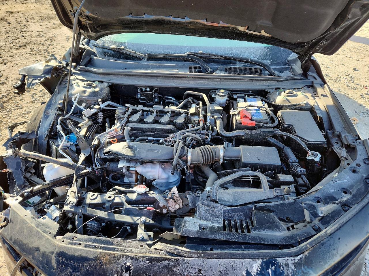 2023 Honda Accord ex
