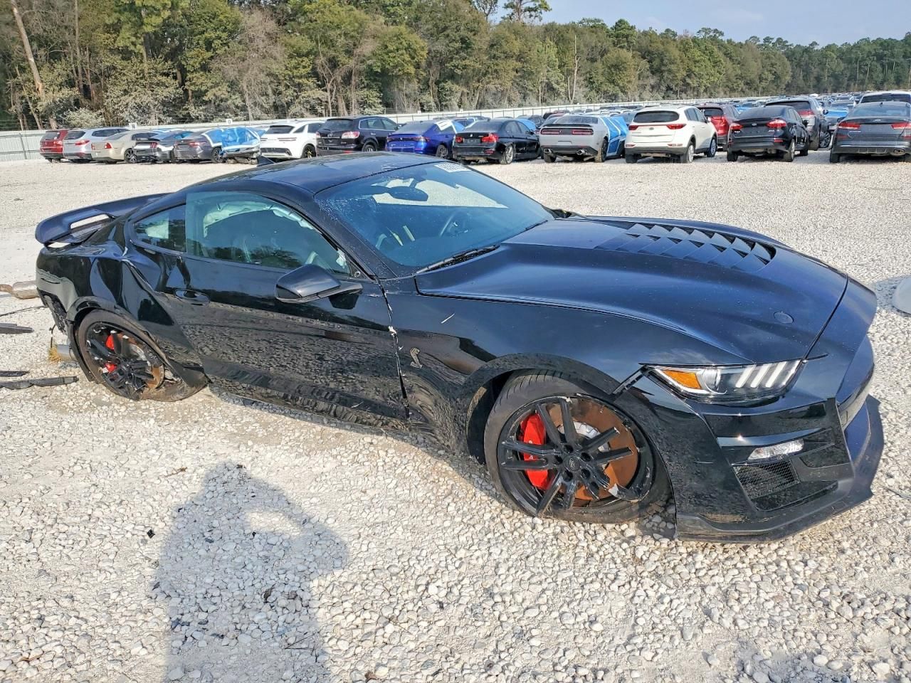 2021 Ford Mustang Shelby Gt500