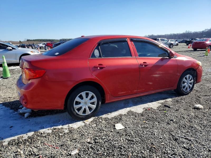 2010 Toyota Corolla Base