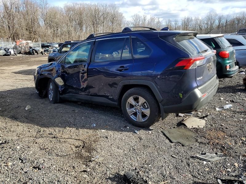 2025 Toyota Rav4 xle