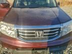 2015 Honda Pilot exl