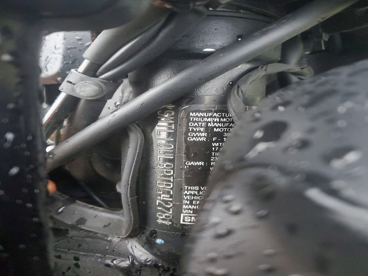 2023 Triumph Trident 660