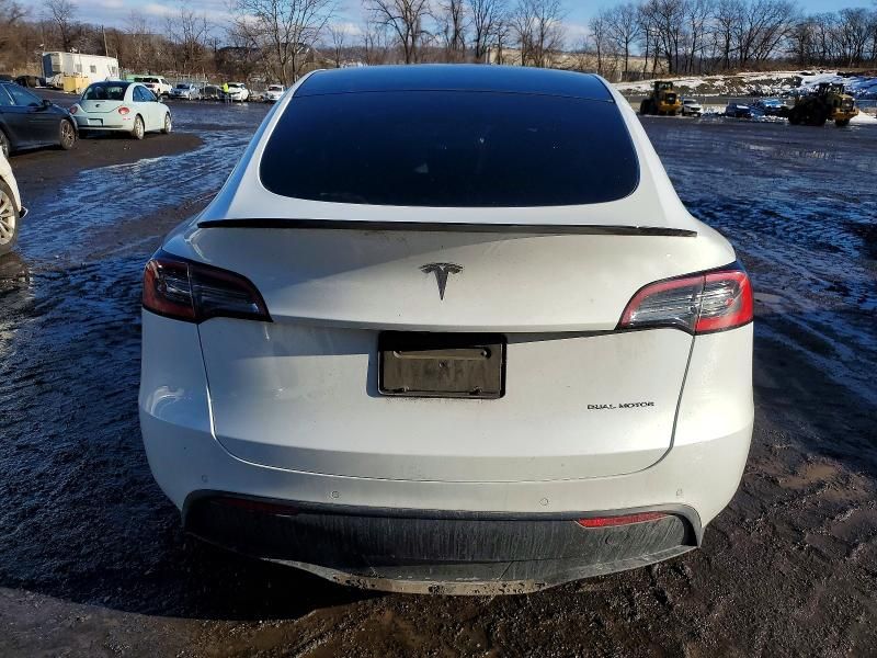 2021 Tesla Model y