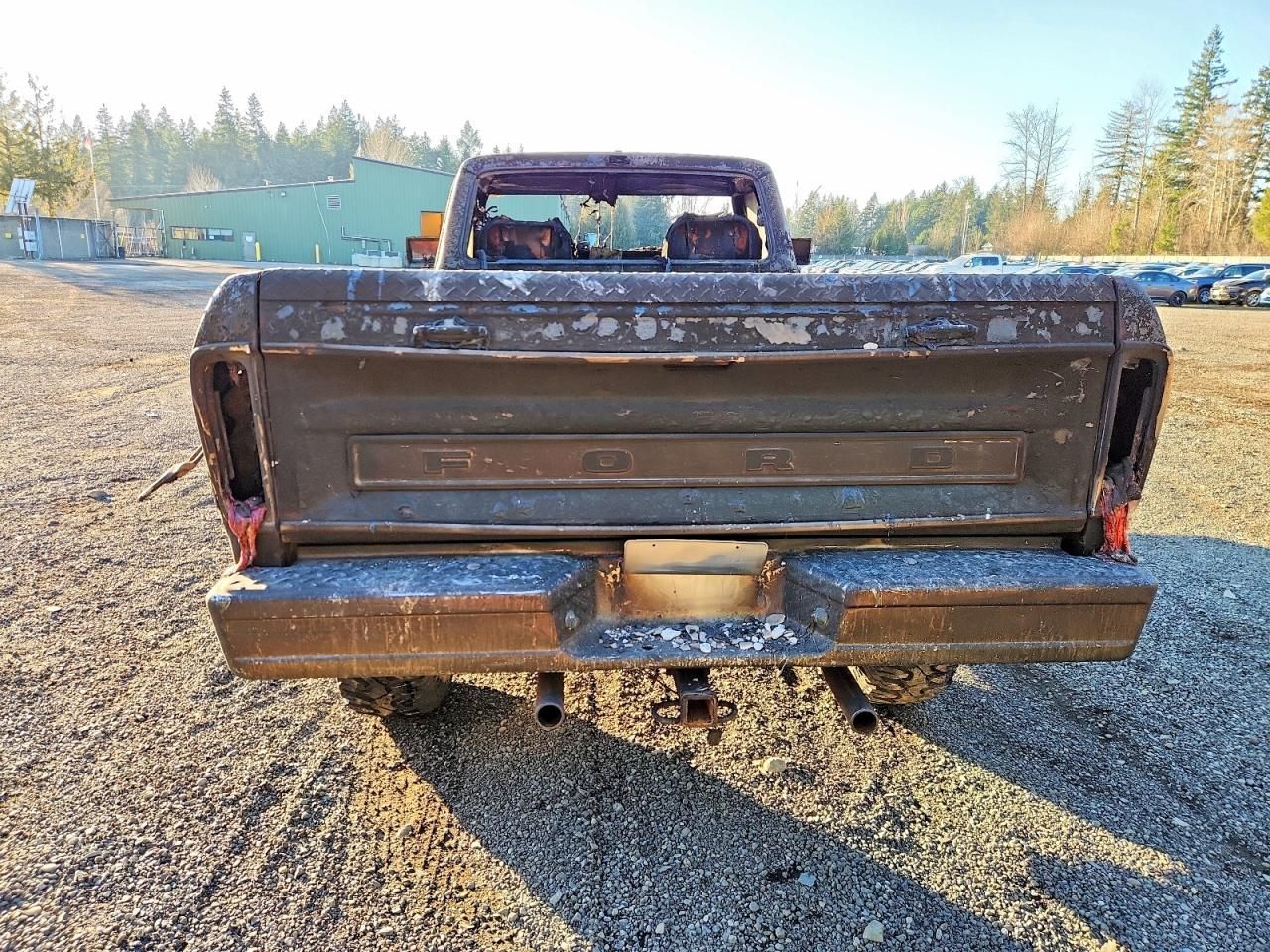 1979 Ford F100 Serie