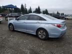 2013 Hyundai Sonata Hybrid