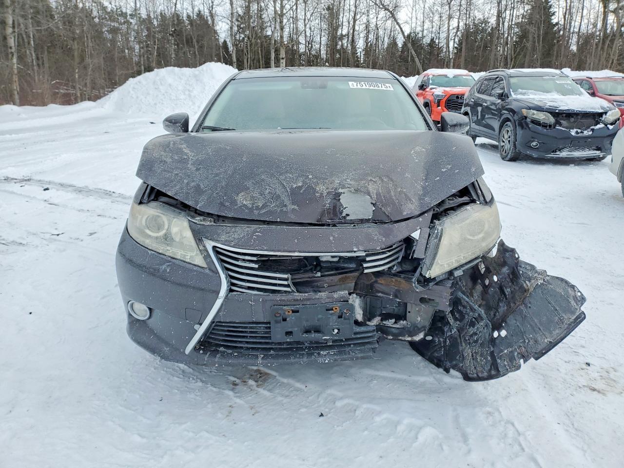 2013 Lexus Es 300h