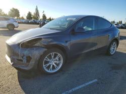 Tesla salvage cars for sale: 2023 Tesla Model y
