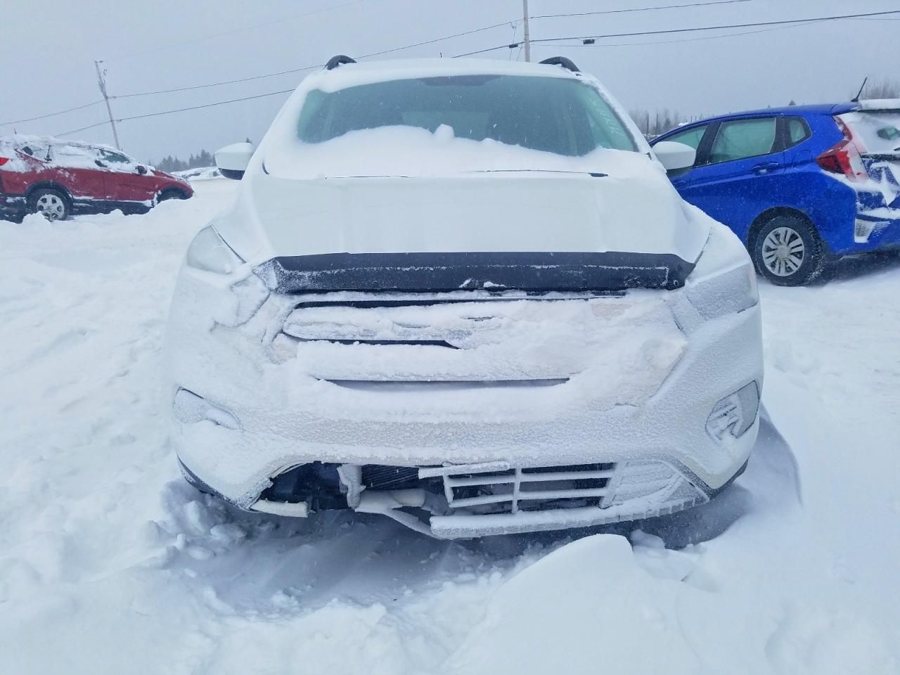 2019 Ford Escape sel
