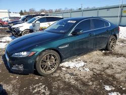 Jaguar salvage cars for sale: 2016 Jaguar Xf Prestige