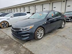 2016 KIA Optima ex en venta en Louisville, KY