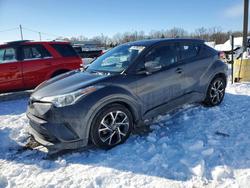 2019 Toyota C-hr xle for sale in Louisville, KY