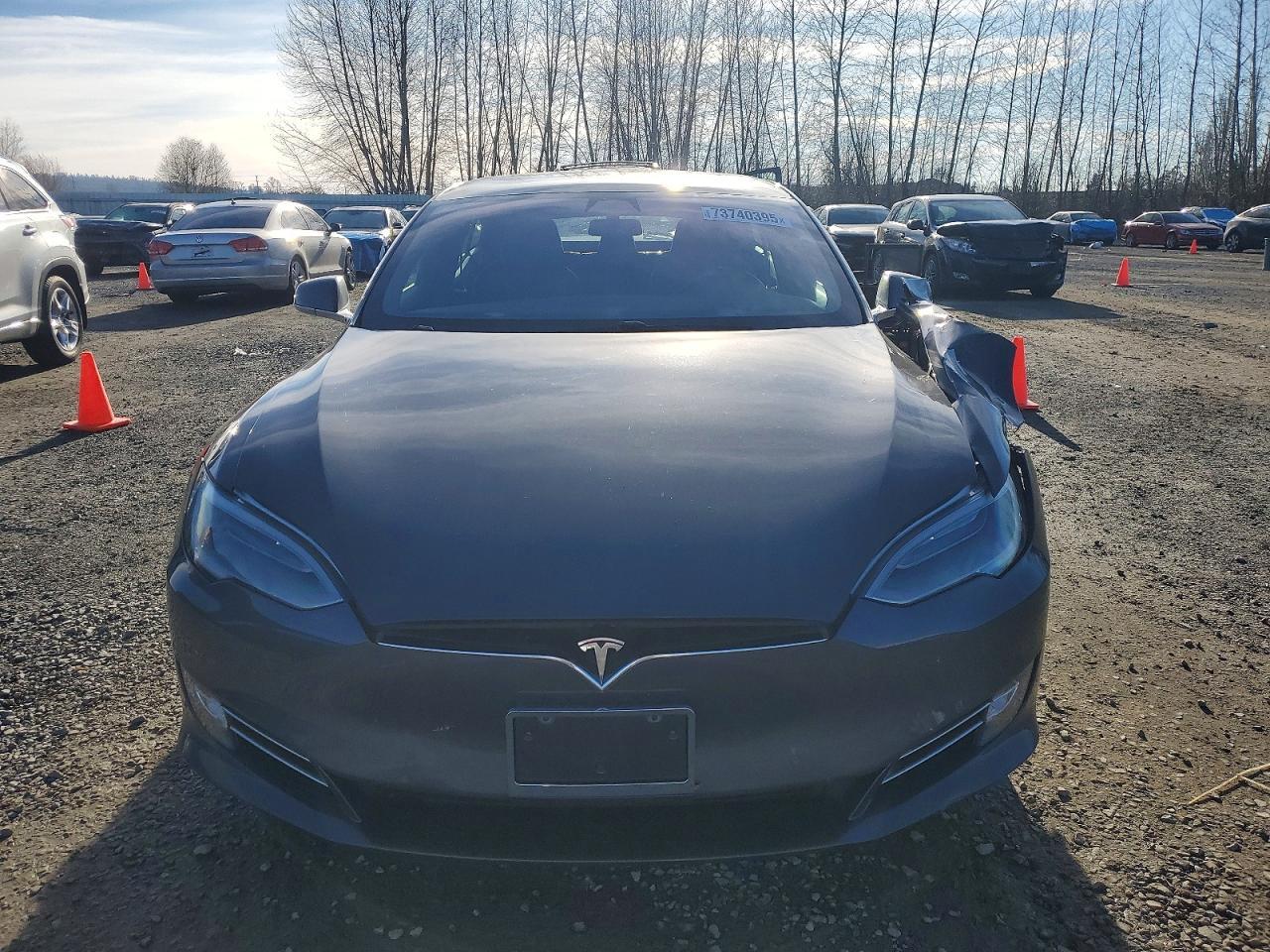 2019 Tesla Model s