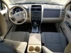 2012 Ford Escape xls
